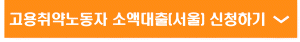 서울시 고용취약노동자 긴급자금 소액융자